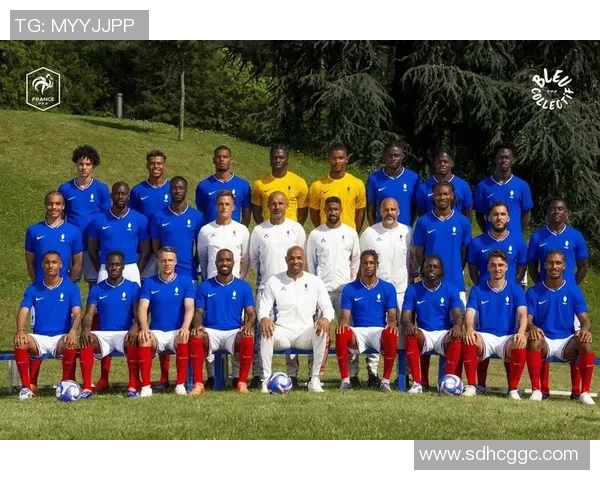 法国足球的辉煌历史与未来发展展望：从青训体系到职业联赛的全景分析